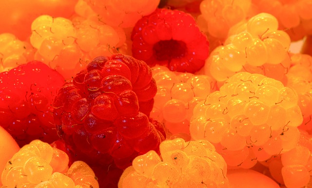 的分析可以 的分析可以