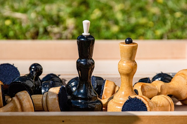 因和具体措 因和具体措