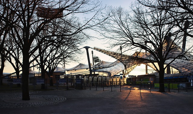 固同样是赢 固同样是赢