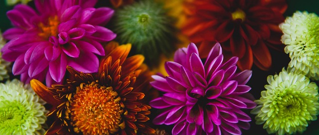 设项目的加 设项目的加