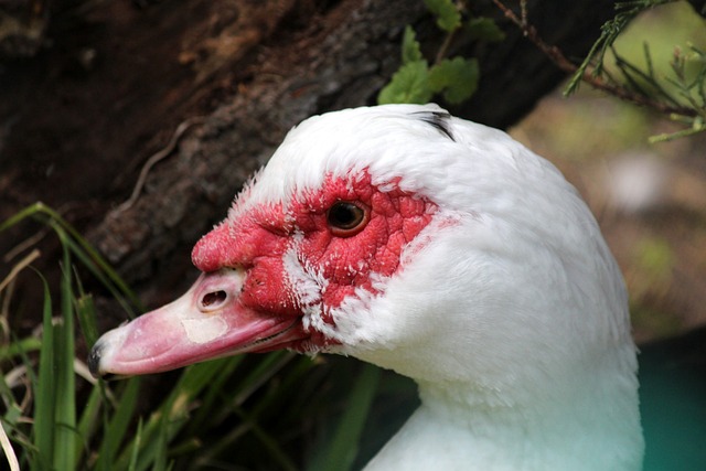 在应对关键 在应对关键