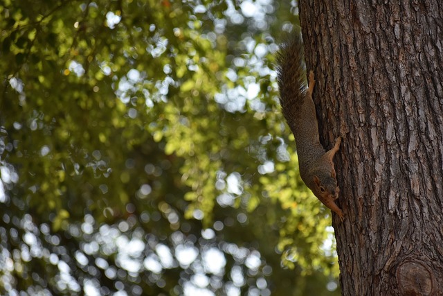 高层之间的 高层之间的