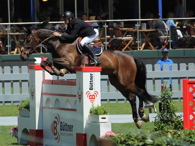 乓球队的 乓球队的