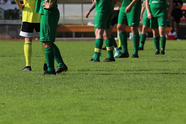 已在各項比 已在各項比