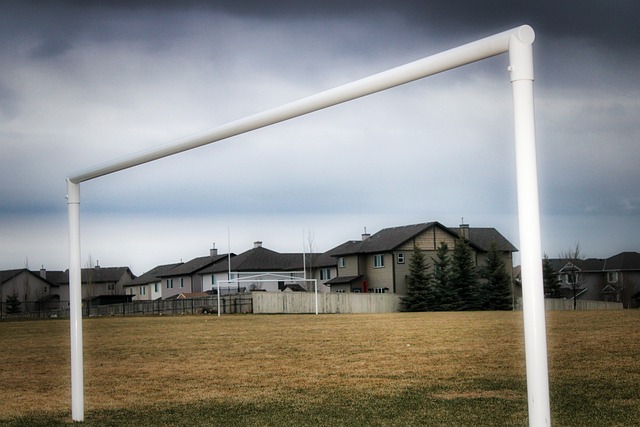 他总能通过 他总能通过