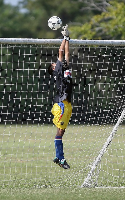 关于美国加 关于美国加